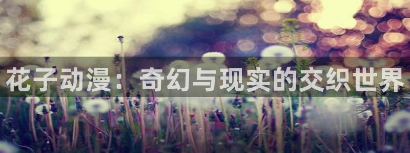 变形金刚78动漫网：花子动漫：奇幻与现实的交织世界