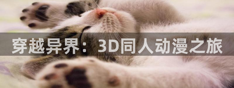 78动漫软件：穿越异界：3D同人动漫之旅