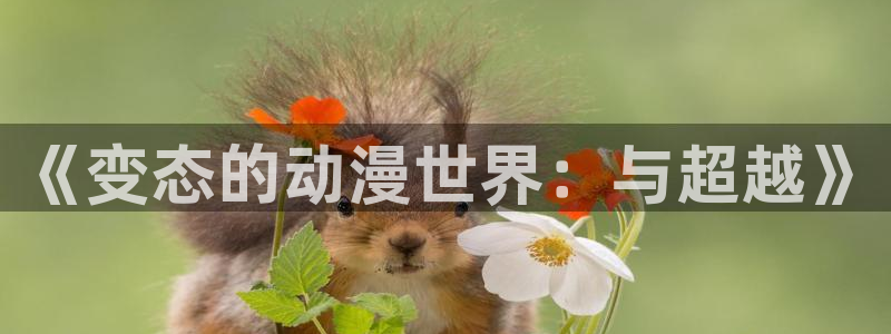 78动漫是啥：《变态的动漫世界：与超越》