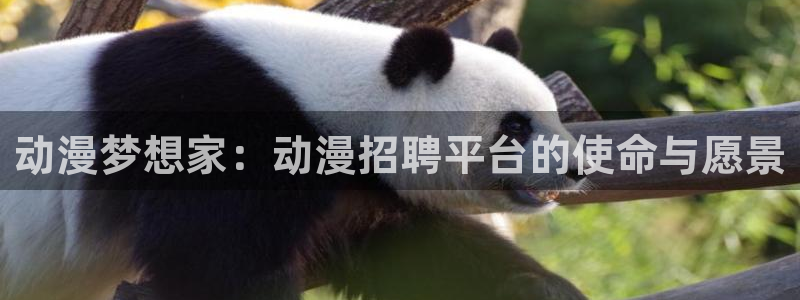 78动漫在线看：动漫梦想家：动漫招聘平台的使命与愿景