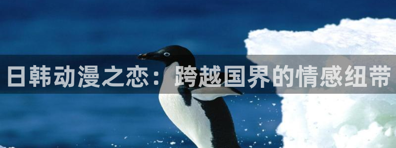 7878动漫网：日韩动漫之恋：跨越国界的情感纽带