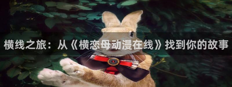 78动漫网怎么没了：横线之旅：从《横恋母动漫在线》找到你的故事