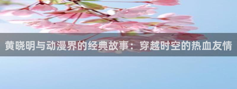 78动漫最新版：黄晓明与动漫界的经典故事：穿越时空的热血友情