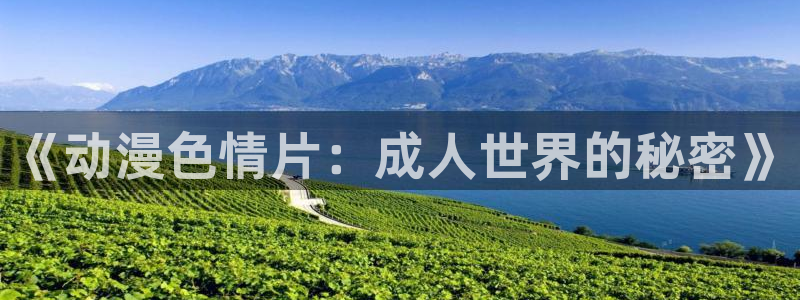 78动漫网站关闭?：《动漫色情片：成人世界的秘密》